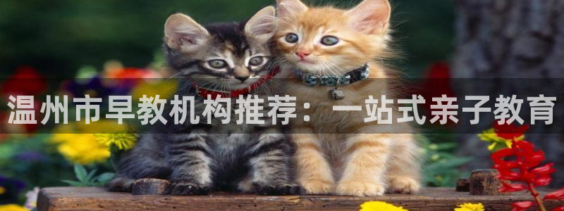 恒行2陈74OOO5:温州市早教机构推荐:一站式亲子教育