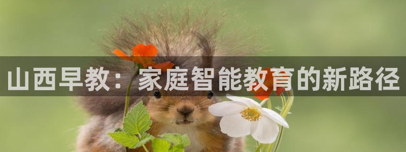 恒在5行中代表什么数字：山西早教：家庭智能教育的新路径