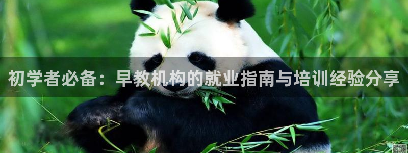 恒行娱乐芍皇74ooo5蛹:初学者必备:早教机构的就业指南与培训经验分享