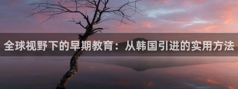 恒行代理总代主导 6ll5l:全球视野下的早期教育:从韩国引进的实用方法