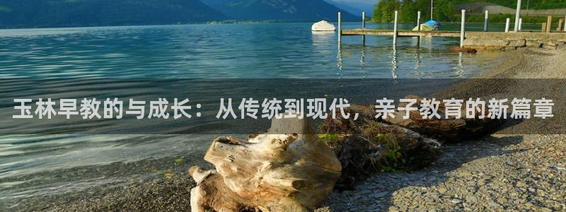 恒行2地74OOO5：玉林早教的与成长：从传统到现代，亲子教育的新篇章