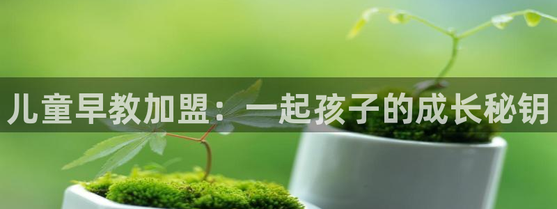 恒行娱乐寻问74 5:儿童早教加盟:一起孩子的成长秘钥