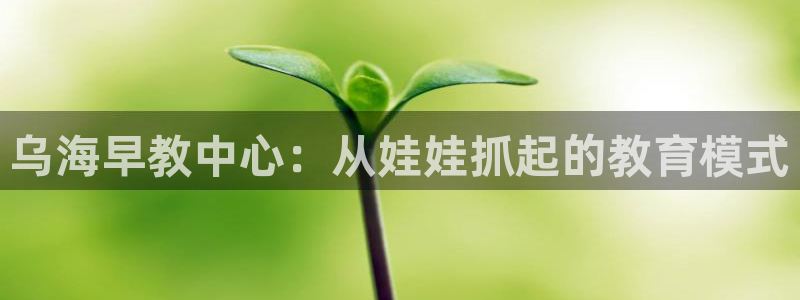 恒行注册招收6ll5l指定：乌海早教中心：从娃娃抓起的教育模式