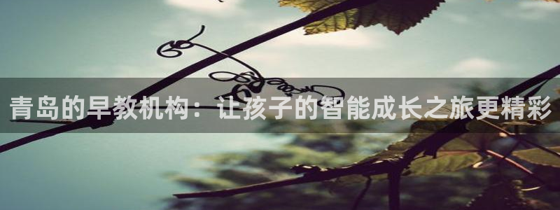 恒行2蒋74OOO5:青岛的早教机构:让孩子的智能成长之旅更精彩