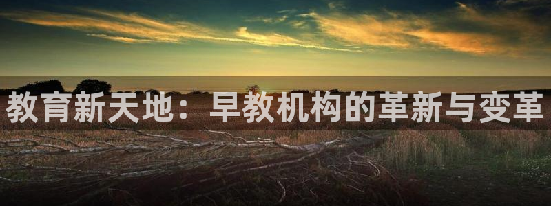 恒行2蒋74OOO5：教育新天地：早教机构的革新与变革