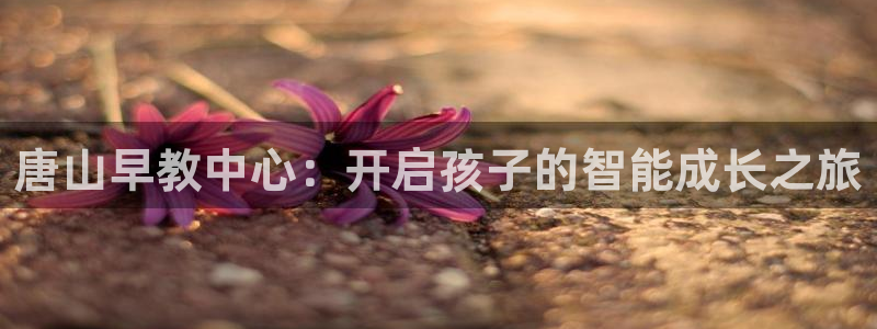 恒行娱乐5ll533主管优雅:唐山早教中心:开启孩子的智能成长之旅