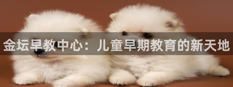 恒行登录老大6ll5l典型:金坛早教中心:儿童早期教育的新天地