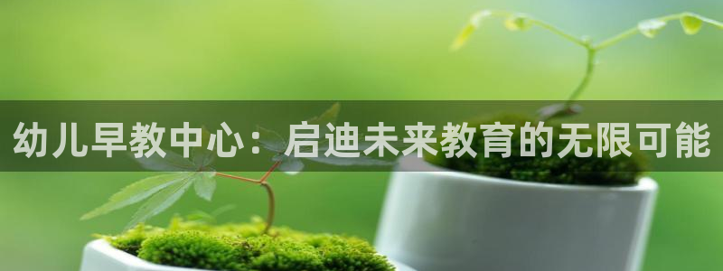 恒行3乃5O6917:幼儿早教中心:启迪未来教育的无限可能