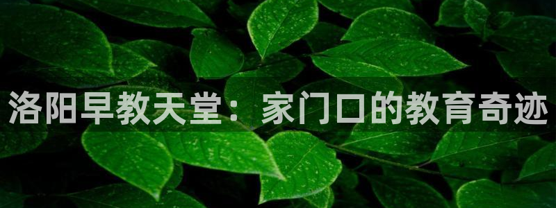 恒行2下74OOO5:洛阳早教天堂:家门口的教育奇迹