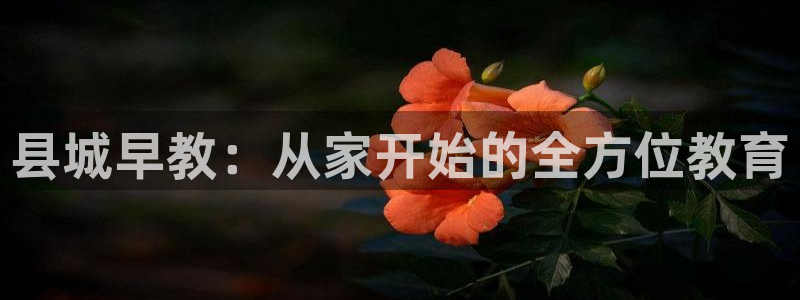 恒行2吕74OOO5:县城早教:从家开始的全方位教育