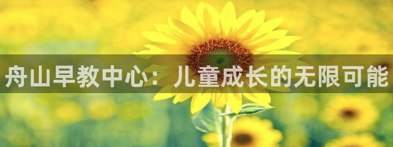 恒行5:舟山早教中心:儿童成长的无限可能