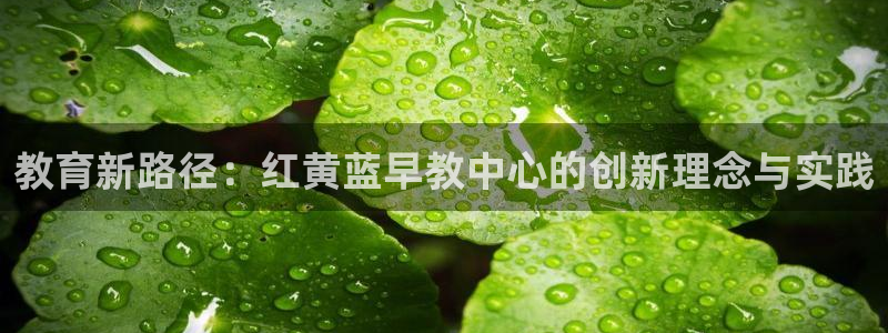 恒在5行中代表什么数字：教育新路径：红黄蓝早教中心的创新理念与实践