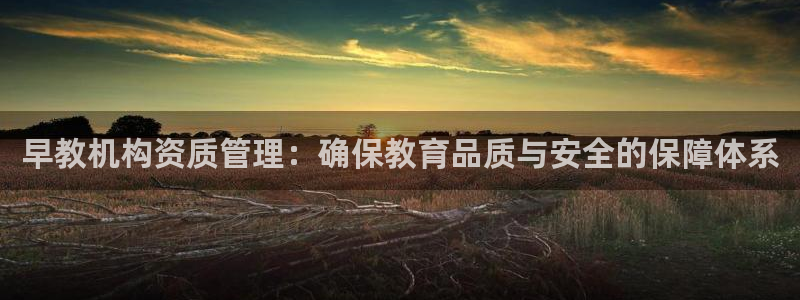 恒行2许74OOO5：早教机构资质管理：确保教育品质与安全的保障体系