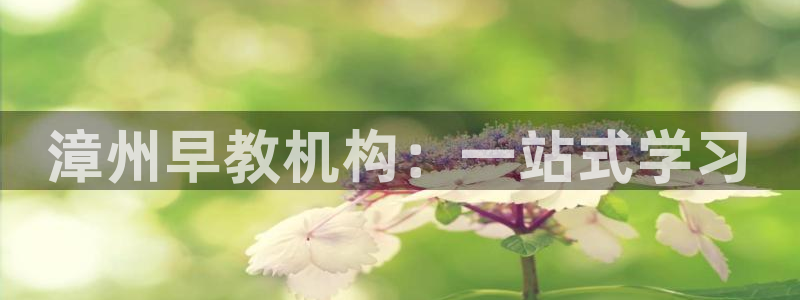 恒行娱乐蒋74OOO5：漳州早教机构：一站式学习