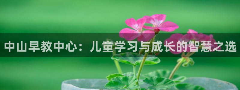 恒行2吕74OOO5：中山早教中心：儿童学习与成长的智慧之选