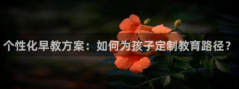 恒行娱乐老板推荐5ll533主管：个性化早教方案：如何为孩子定制教育路径？