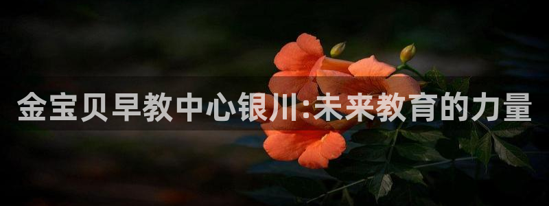 恒行注册全2O5O5O：金宝贝早教中心银川:未来教育的力量