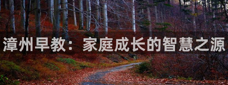 恒行主管6ll5l指定：漳州早教：家庭成长的智慧之源