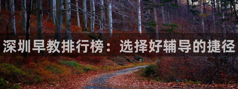 恒行2冯74OOO5：深圳早教排行榜：选择好辅导的捷径