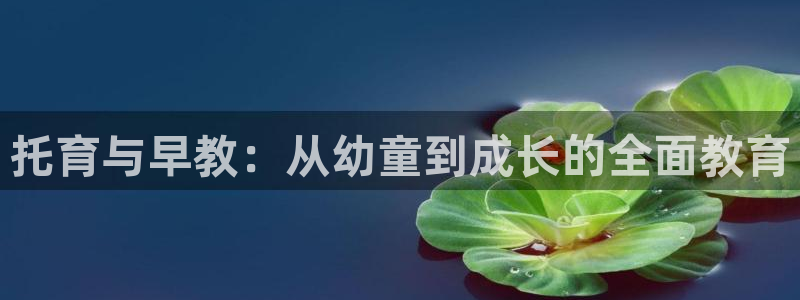 恒行主管招收 6ll5l出奇：托育与早教：从幼童到成长的全面教育