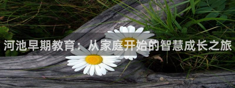 恒行娱乐5ll533主管优雅：河池早期教育：从家庭开始的智慧成长之旅