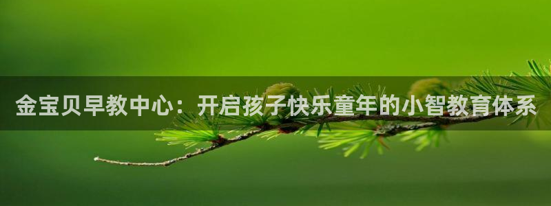 恒行娱乐招收点赞5ll533主管：金宝贝早教中心：开启孩子快乐童年的小智教育体系