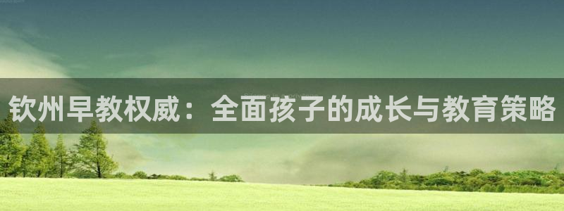 恒行娱乐河沂74ooo5程：钦州早教权威：全面孩子的成长与教育策略