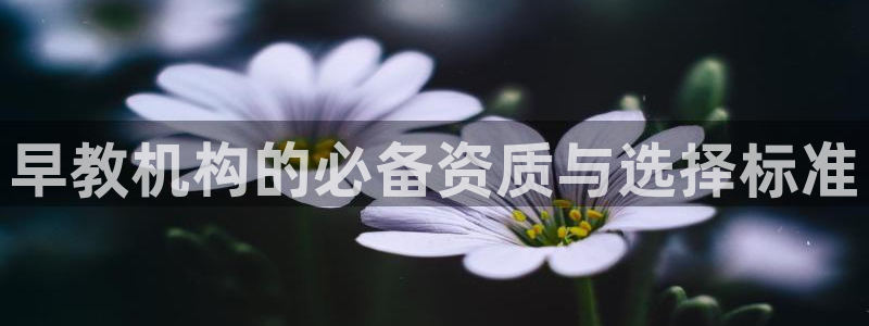 恒行2地74OOO5：早教机构的必备资质与选择标准