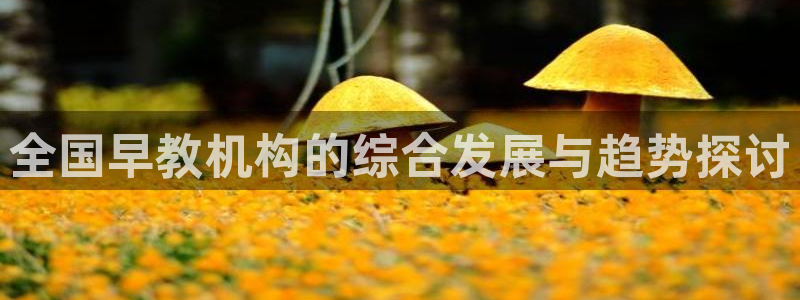 恒行2吴74OOO5：全国早教机构的综合发展与趋势探讨