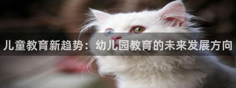 恒行登录就搜6ll5l：儿童教育新趋势：幼儿园教育的未来发展方向