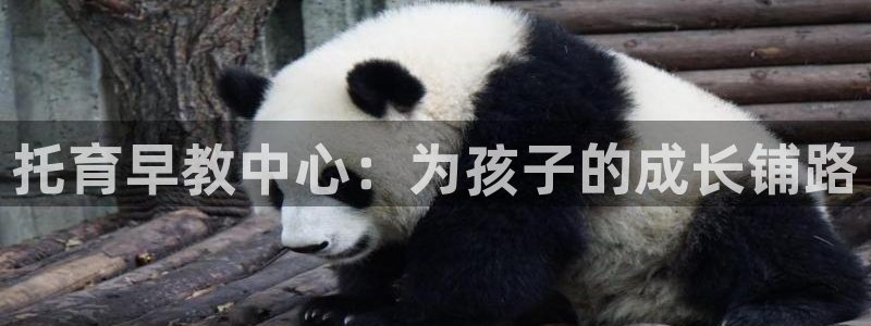 恒行5娱乐：托育早教中心：为孩子的成长铺路