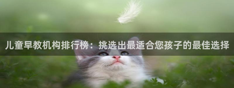 恒行娱乐河沂74ooo5程：儿童早教机构排行榜：挑选出最适合您孩子的最佳选择