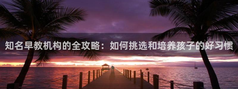 恒行娱乐5ll533主管优雅：知名早教机构的全攻略：如何挑选和培养孩子的好习惯