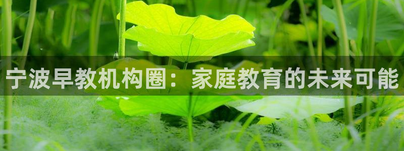 恒行娱乐寻问74 5：宁波早教机构圈：家庭教育的未来可能