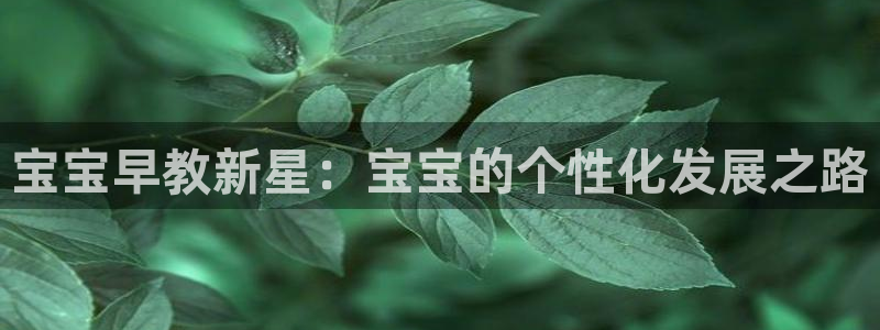 恒行2许74OOO5：宝宝早教新星：宝宝的个性化发展之路