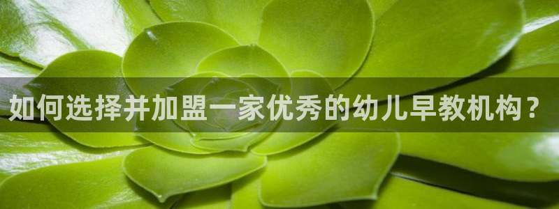 恒行娱乐5ll533主管优雅：如何选择并加盟一家优秀的幼儿早教机构？