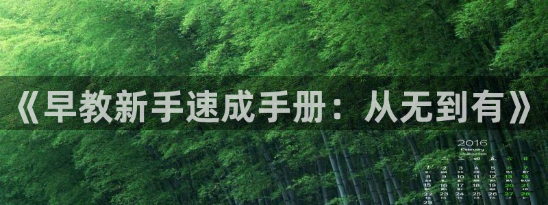 恒行彩票亏5千：《早教新手速成手册：从无到有》
