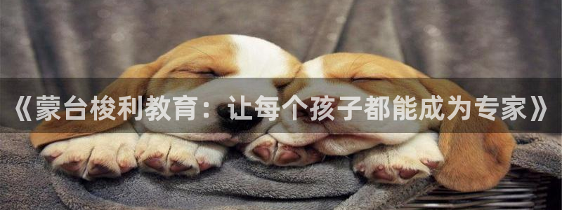 恒行娱乐蜗74ooo5指磁：《蒙台梭利教育：让每个孩子都能成为专家》