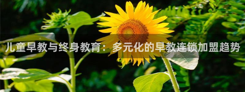 恒行代理总代主导 6ll5l：儿童早教与终身教育：多元化的早教连锁加盟趋势