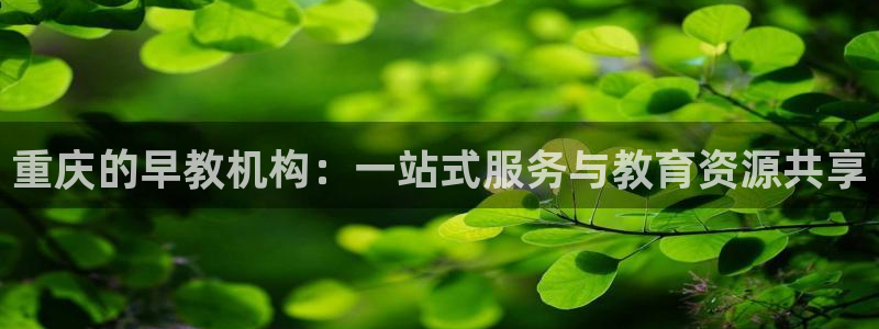 恒行娱乐登录信用 74ooo5:重庆的早教机构:一站式服务与教育资源共享