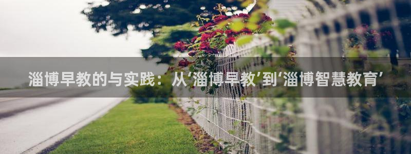 恒行开户娱乐6ll5l特惠：淄博早教的与实践：从‘淄博早教’到‘淄博智慧教育’