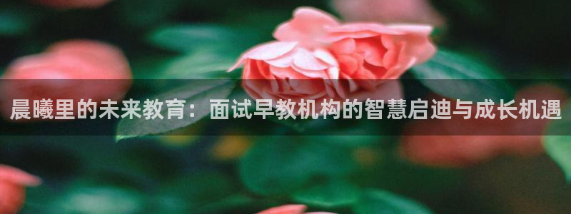 恒行娱乐陈74OOO5：晨曦里的未来教育：面试早教机构的智慧启迪与成长机遇