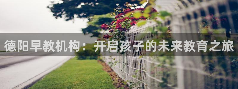 恒行登录就搜6ll5l：德阳早教机构：开启孩子的未来教育之旅