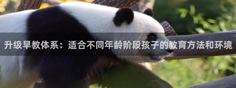 恒行开户娱乐6ll5l特惠：升级早教体系：适合不同年龄阶段孩子的教育方法和环境