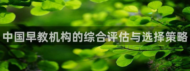 恒行2陈74OOO5:中国早教机构的综合评估与选择策略