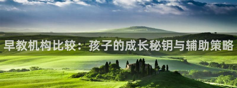 恒行娱乐吴74OOO5:早教机构比较:孩子的成长秘钥与辅助策略
